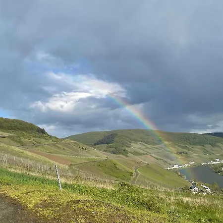 Ambiente Ii - Neu - Stilvoll, Komfortabel, Einzigartig - Herzlich Willkommen Zell