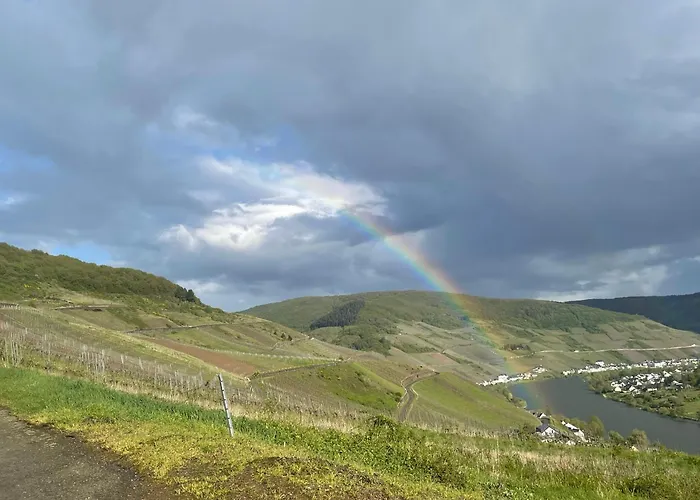 Das Ambiente II Komfortables Wohnerlebnis Mit Moselromantik - Herzlich Willkommen - Zell an der Mosel