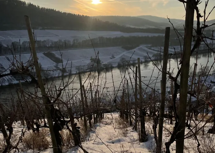 Apartamento Das Ambiente II Komfortables Wohnerlebnis Mit Moselromantik - Herzlich Willkommen - *