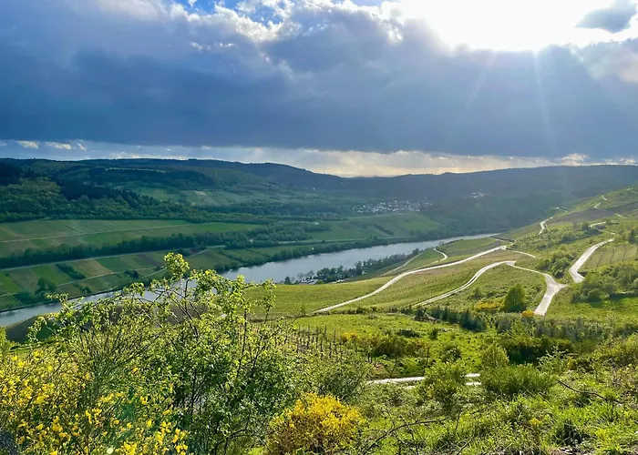 Das Ambiente II Komfortables Wohnerlebnis Mit Moselromantik - Herzlich Willkommen - Zell an der Mosel